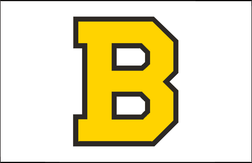 Boston Bruins 1940-1948 Jersey Logo iron on transfers for clothing